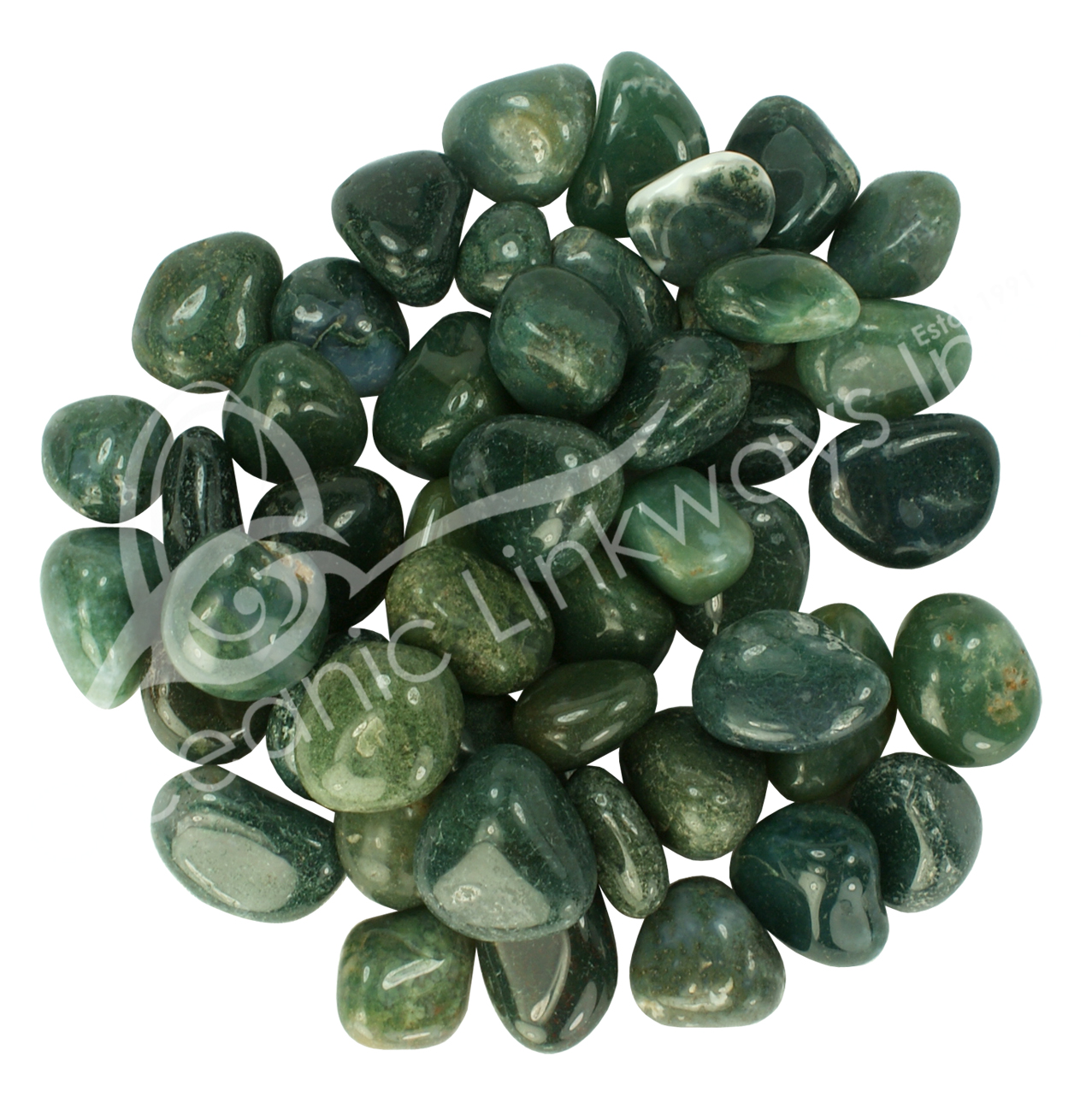 Wholesale Tumbled Green Moss Agate