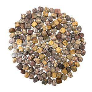 Leopard Skin Jasper Tumbled Stones 15-30 mm