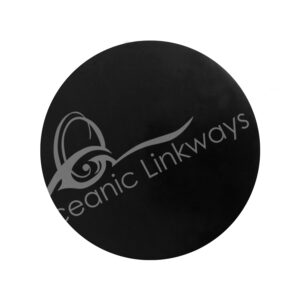 Shungite Coaster (Pack of 2)