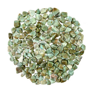 Chrysoprase A Tumbled Stones 15-35 mm