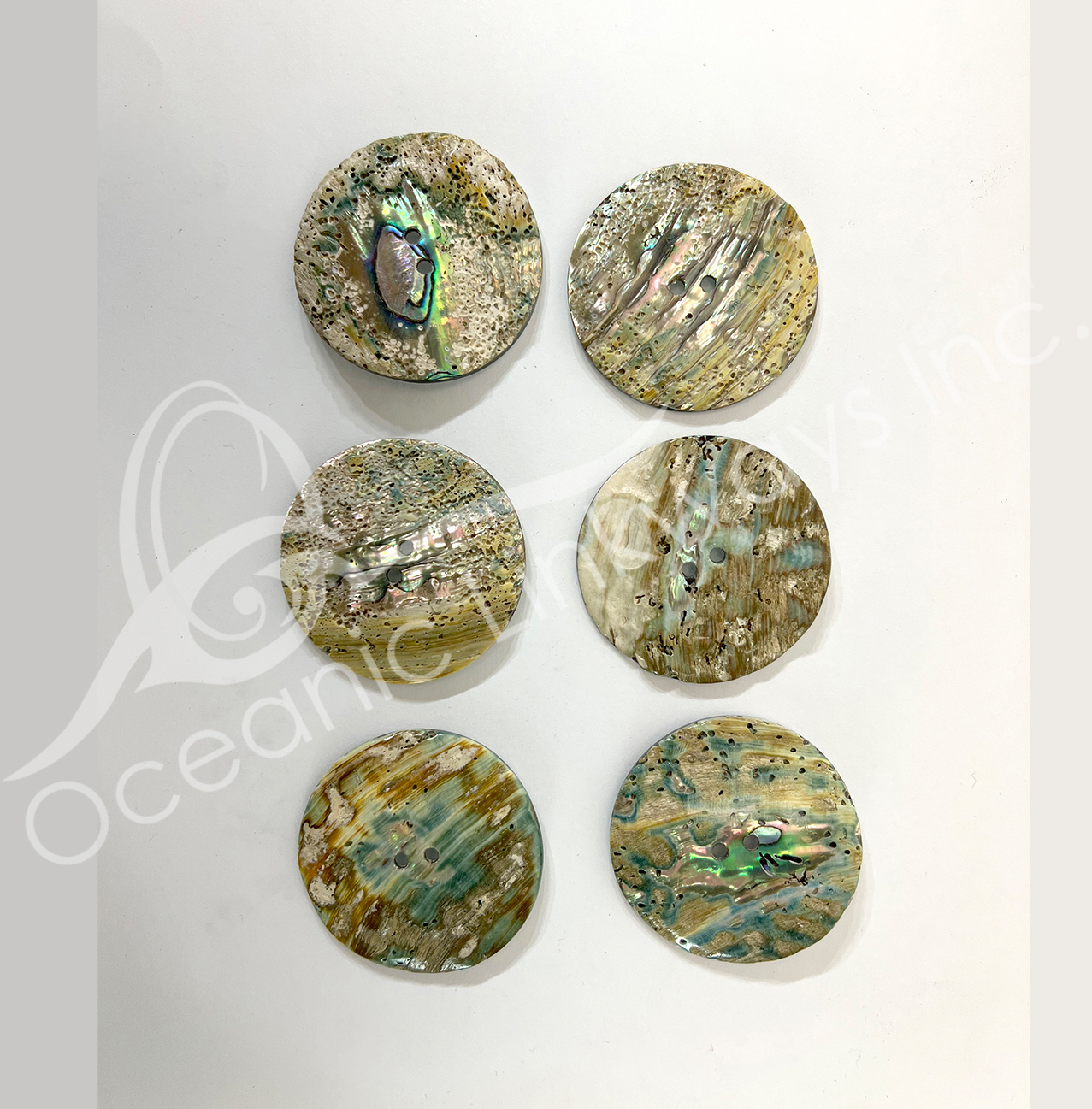 Abalone Shell Buttons 2