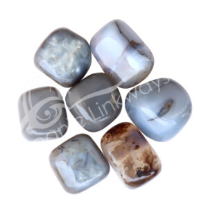 Tumbled Stones Dendritic Agate