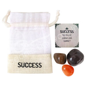 Tumbled Stones Kit Success Tiger Eye and Carnelian and Garnet