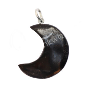 Black Tourmaline Moon Pendant