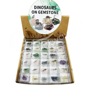 Dinosaures on Stone Figurine in Acrylic Box Pop-Up Display Set of 60