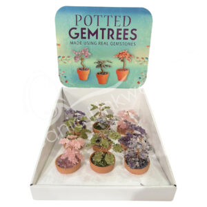 Gem Tree in Teracotta Pot in Pop-Up Display Set of 9