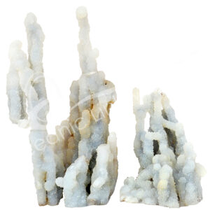 Coral Chalcedony Sticks with Quartz Specimen