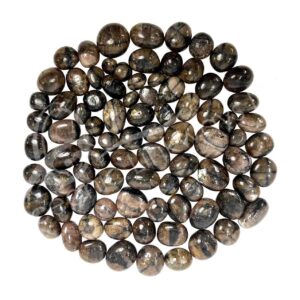 Staurolite/Chiastolite Tumbled Stones