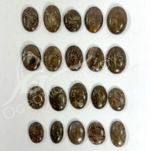Bronzite Cabochons Mixe Shapes and Sizes