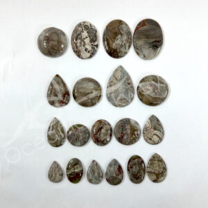 Mushroom Rhyolite Cabochons Mixed Shapes and Sizes
