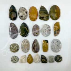 Ocean Jasper Cabochons Mixed Shapes and Sizes