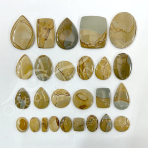 Picture Jasper Cabochons Mixed Shapes and Sizes