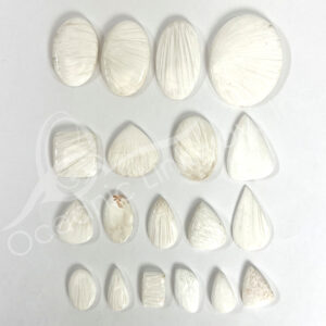 Scolecite Cabochons Mixed Shapes and Sizes