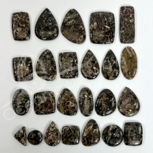 Turtella Cabochons Mixed Shapes and Sizes