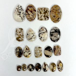 Peanut Wood Jasper Cabochons Mixed Shapes and Sizes