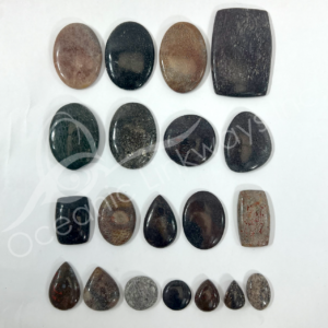 Dinosaur Bone Cabochons Mixed Shapes and Sizes