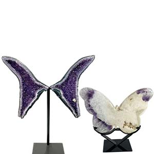 Butterflies