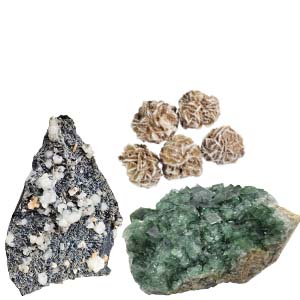 Specimens