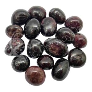 Garnet Ex Tumbled Chips