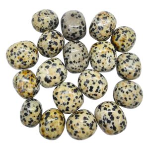 Dalmatian Jasper Tumbled Stones
