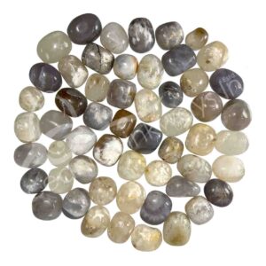 Opalized Petrified Wood Tumbled Stones