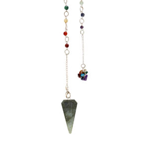 Labradorite Hexagonal Pendulum with Chakra Chain & Chips