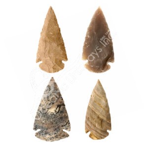Jasper Arrowhead (Pack of 50)