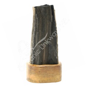 Petrified Wood with Crystal Quartz Specimen on Wood Base