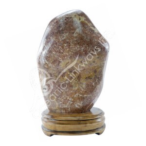 Ammonite Free Shape on Wood Base