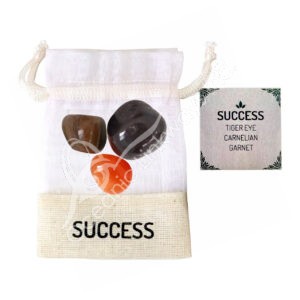 Tiger Eye, Carnelian & Garnet Success Tumbled Stone Kit