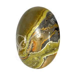 Bumble Bee Jasper Tumbled Stones