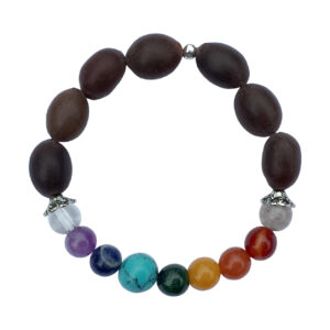Chakra with Lotus Seed Bracelet (8-8.5 mm)
