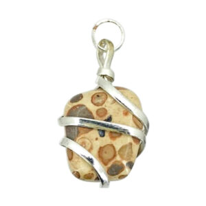 Leopard Skin Jasper Wire Wrapped Tumbled Stone Pendant