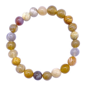 Fossil Coral Bracelet (8-8.5 mm Beads)