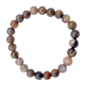 Petrified Wood Beads Bracelet (8-8.5 mm)