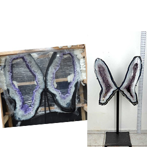 Butterflies-Limited