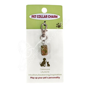 Unakite Rectangular-Shaped Pet Collar Charm