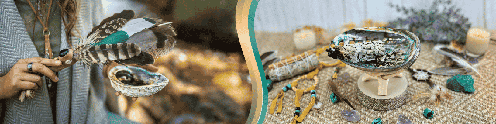 Abalone Shells