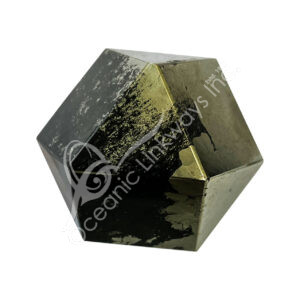 Polished Pyrite with Black Magnetite Polygon