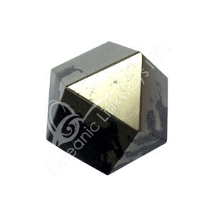 Polished Pyrite with Black Magnetite Polygon