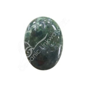 Polished Bloodstone Palm Stone
