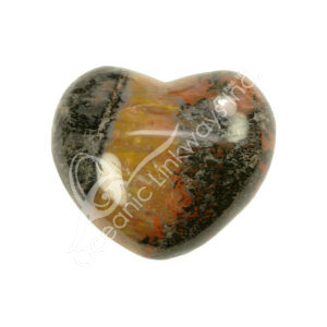 Polished Petrified Wood Heart