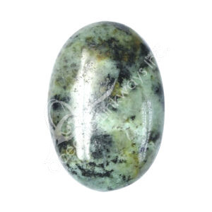 Polished African Turquoise Palm Stone