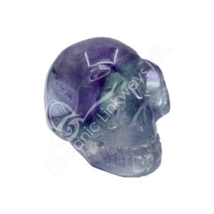 Fluorite Skull