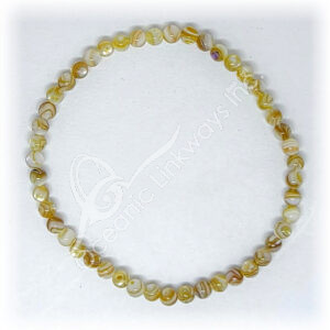 Shell Beads Bracelet
