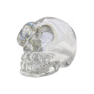 Clear AB Glass Skull