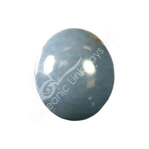 Polished Angelite Palm Stone