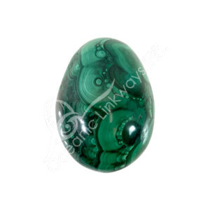 Polished Malachite Egg