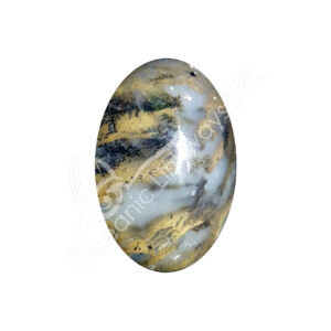 Polished Dendritic Opal Palm Stone