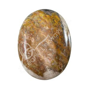 Polished Bumble Bee Neo Jasper Palm Stone